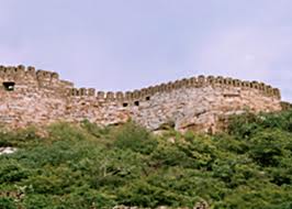 udayagiri fort, nellore